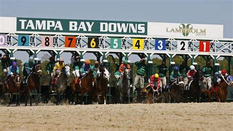 Find everything you need to know about horse racing at Equibase. . Tampa bay downs entries